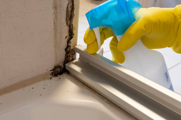 Best Emergency Mold Removal  in Allentown, NJ