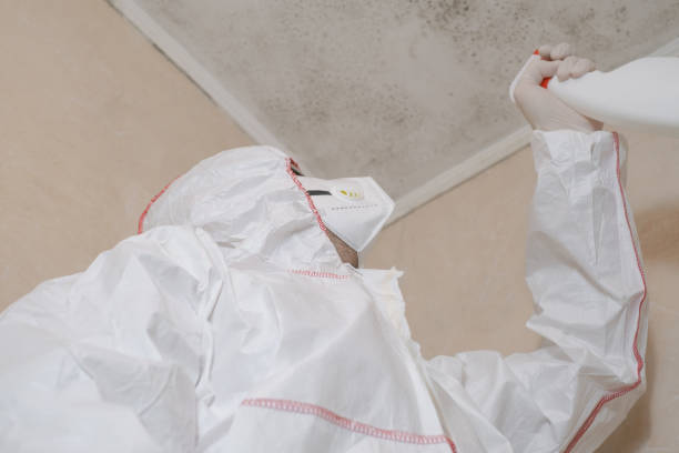 Best Crawl Space Mold Removal  in Allentown, NJ